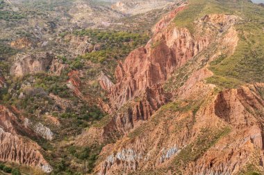 İspanya 'nın güneyindeki dağlık arazide çalılar ve ağaçlar var. Birkaç vadi var.