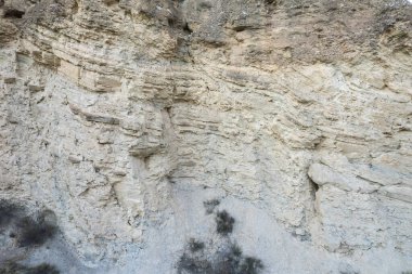 Güney İspanya 'daki Granada' nın kayalık kayalıkları ve çalıları var.