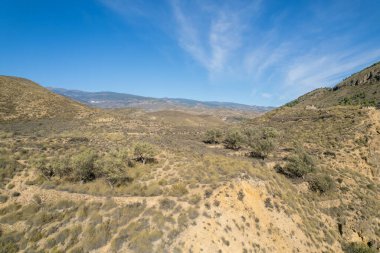 Güney İspanya 'nın dağlık arazisinde, zeytin ağaçları ve çalılar var, dağda çam ağaçları var, gökte bulutlar var.