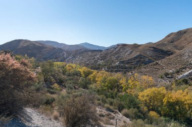 Güney İspanya 'nın dağlık arazisi. Kavak ve zeytin ağaçları var. Gökyüzü açık.
