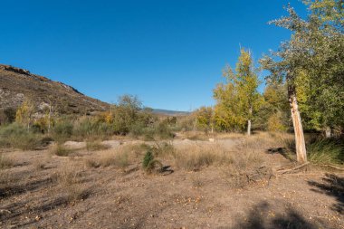 Endülüs 'ün güneyindeki kavak ağaçlarının arasında yürüyorum, yerde çimenler var, dağlar var ve gökyüzü açık.
