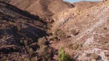 Güney İspanya 'daki dağlık bir bölgenin videosu. Ağaçlar ve çalılar var.