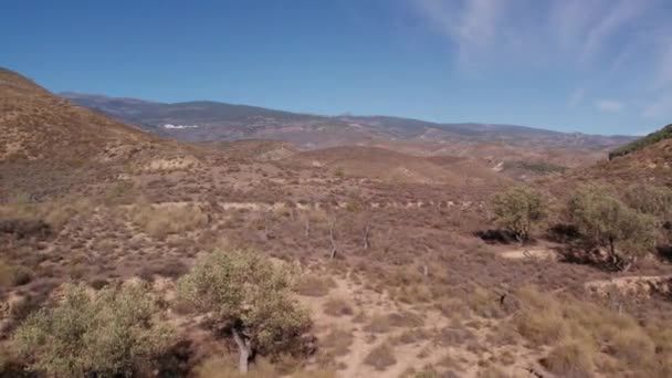 スペイン南部の山岳地帯のビデオ木や茂みがあり空は澄んでいます — ストック動画