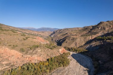 mountainous landscape in the south of Spain, there are trees and bushes, a road passes by the side of the mountain, the sky is clear
