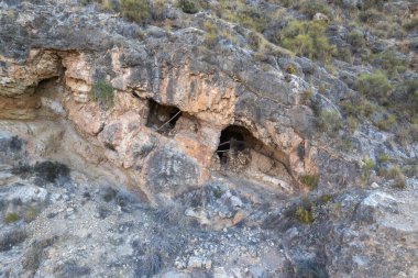 a cave in a stone wall, there are bushes and stones