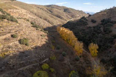 trees in a valley in the south of Spain, there are trees with yellow leaves and trees with green leaves, it is a mountainous area, the sky has clouds