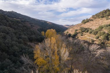 trees in a valley in the south of Spain, there are trees with yellow leaves and trees with green leaves, it is a mountainous area, the sky has clouds