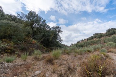 İspanya, Granada 'nın güneyindeki dağlık arazide ağaçlar ve çalılar var, gökyüzü bulutlu.
