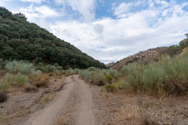 Dağlardaki toprak yol, sarı yapraklı ve yeşil yapraklı ağaçlar, çalılar, dağlık bir bölge, gökyüzü bulutlu.