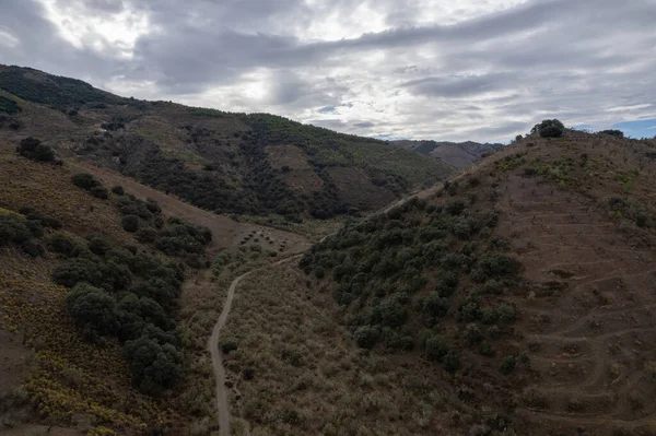 Dal Berget Södra Granada Det Finns Träd Och Buskar Himlen — Stockfoto