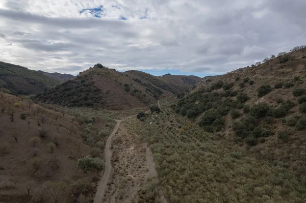 Dal Berget Södra Granada Det Finns Träd Och Buskar Himlen — Stockfoto