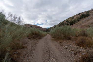 İspanya 'nın güneyindeki dağlık arazi, ağaçlar ve çalılar var, toprak yollar var, gökyüzü bulutlu.