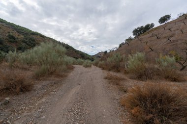 İspanya 'nın güneyindeki dağlık arazi, ağaçlar ve çalılar var, toprak yollar var, gökyüzü bulutlu.
