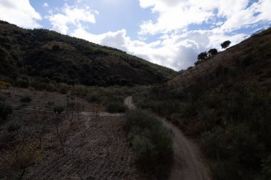İspanya 'nın güneyindeki dağlık arazi, ağaçlar ve çalılar var, toprak yollar var, gökyüzü bulutlu.