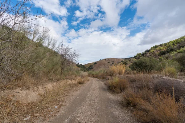 İspanya 'nın güneyindeki dağlık arazi, ağaçlar ve çalılar var, toprak yollar var, gökyüzü bulutlu.