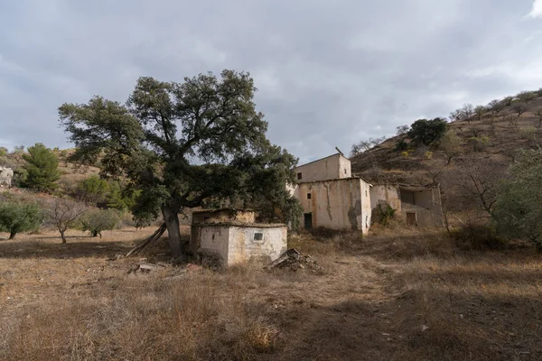Hegyvidéki Táj Dél Granada Spanyolországban Vannak Fák Bokrok Van Egy — Stock Fotó