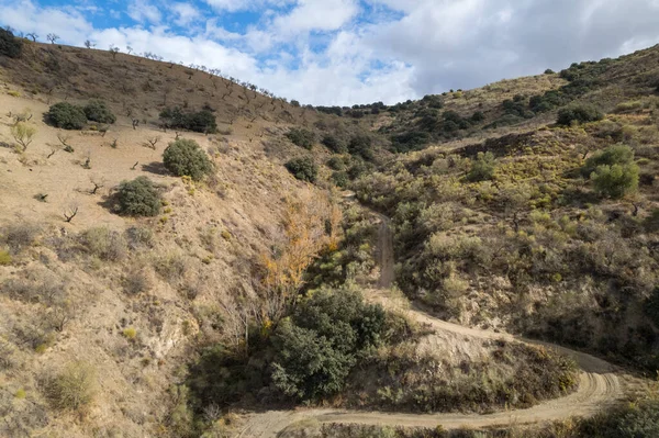 Spanya Nın Güneyindeki Dağlık Arazi Ağaçlar Çalılar Var Toprak Yollar — Stok fotoğraf