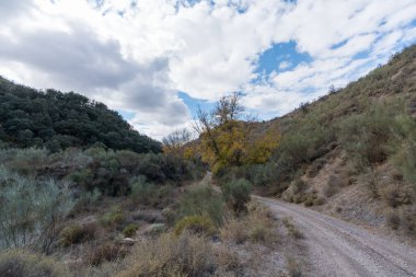 Dağlarda toprak yol, ağaçlar ve çalılar var, gökyüzünde bulutlar var.