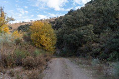 Dağlarda toprak yol, ağaçlar ve çalılar var, gökyüzünde bulutlar var.