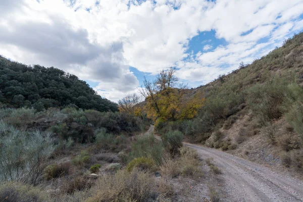 Dağlarda toprak yol, ağaçlar ve çalılar var, gökyüzünde bulutlar var.
