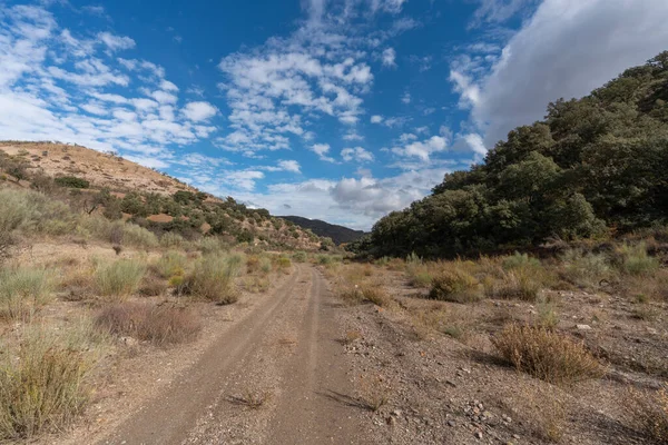 Dağlarda toprak yol, ağaçlar ve çalılar var, gökyüzünde bulutlar var.
