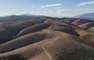 Çiftlik arazisinden geçen bir yol, asmalar, zeytin ve incir ağaçları, bir çiftlik evi, gökyüzü açık.