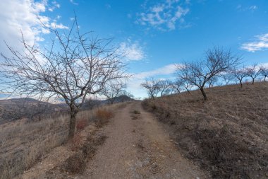 Badem ağaçlarının arasındaki toprak yolda yerde çalılar var, gökyüzünde bulutlar var..