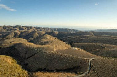 Granada 'nın güneyindeki dağlık bölgede badem mahsulleri var, gökyüzünde bulutlar var.