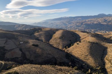 İspanya, Granada 'nın güneyindeki dağlık arazide ağaçlar ve çalılar var, gökyüzünde bulut var.