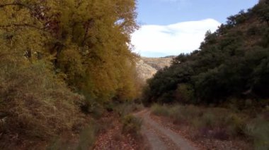 Granada 'nın güneyindeki bir vadide kavak ağaçlarının sarı yaprakları var. Dağlık bir bölge. Dağlarda meşeler ve çalılar var..