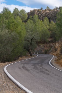İspanya 'nın güneyinde dar bir yol, çam ağaçları ve bir zeytin ağacı var, dağlık bir bölge, kayalar ve taşlar var, gökyüzünde bulutlar var.