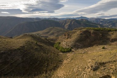 İspanya 'nın güneyindeki dağlık arazide çam ağaçları ve çalılardan oluşan bir orman var. Gökyüzünde bulutlar var.