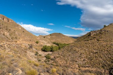 İspanya 'nın güneyindeki dağlık arazide ağaçlar ve çalılar var, gökyüzünde bulut var.