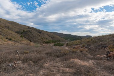 İspanya 'nın güneyindeki dağlık arazide çam ağaçları ve çalılardan oluşan bir orman var. Gökyüzünde bulutlar var.