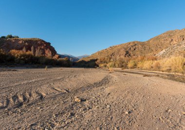 Endülüs 'ün güneyinde bir nehir. Nehir su taşımıyor. Ağaçlar ve çalılar var..