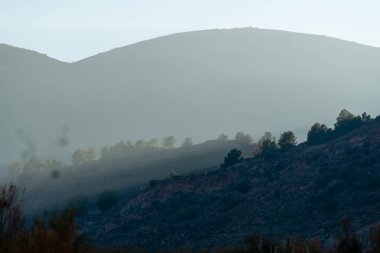 İspanya 'nın güneyindeki dağlık arazide ağaçlar ve çalılar var, gökyüzü açık.