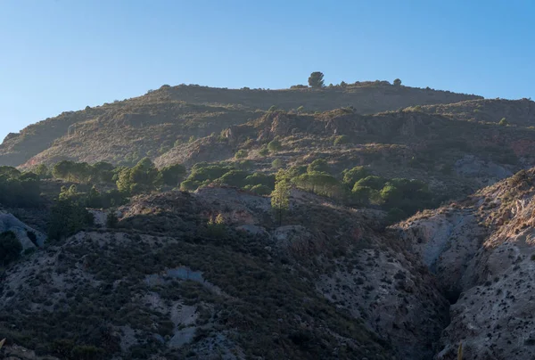 Paisagem Montanhosa Sul Espanha Árvores Arbustos Céu Está Limpo — Fotografia de Stock