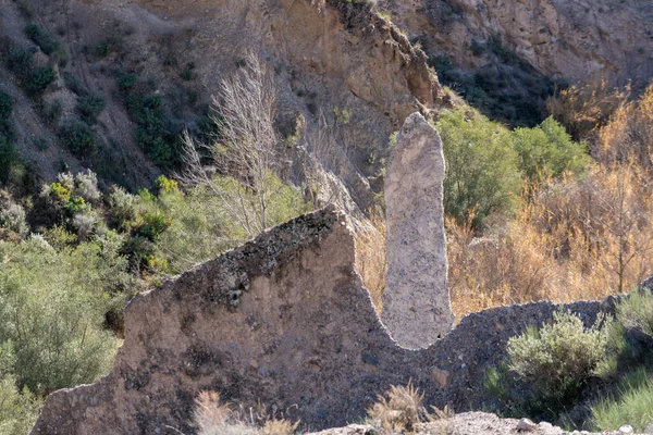 Güney İspanya 'da aşınmış topraklar, ağaçlar ve çalılar var.