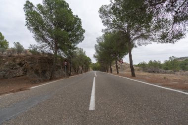 old road in the province of Almeria in the south of Spain, the road has white lines and traffic signs, there are pine trees on the shoulder of the road