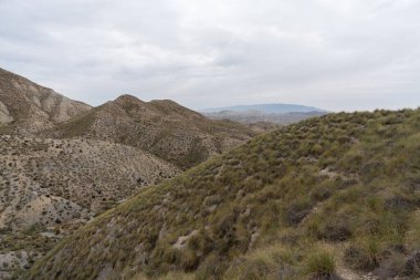 Almerya 'daki Tabernas Çölü' nün kurak manzarası (İspanya), dağlık bir manzara, çalılar var ve gökyüzü bulutlu.