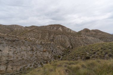 Almerya 'daki Tabernas Çölü' nün kurak manzarası (İspanya), dağlık bir manzara, çalılar var ve gökyüzü bulutlu.