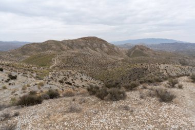 Almerya 'daki Tabernas Çölü' nün kurak manzarası (İspanya), dağlık bir manzara, çalılar var ve gökyüzü bulutlu.