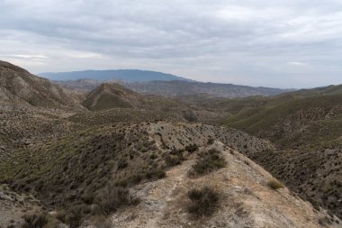 Almerya 'daki Tabernas Çölü' nün kurak manzarası (İspanya), dağlık bir manzara, çalılar var ve gökyüzü bulutlu.