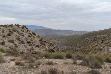 Almerya 'daki Tabernas Çölü' nün kurak manzarası (İspanya), dağlık bir manzara, çalılar var ve gökyüzü bulutlu.