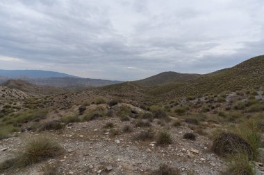 Almerya 'daki Tabernas Çölü' nün kurak manzarası (İspanya), dağlık bir manzara, çalılar var ve gökyüzü bulutlu.