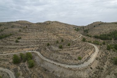 mountainous landscape in the province of Almeria, there is a dirt road, it is an arid area, there are pine trees and the sky is cloudy