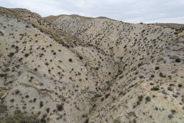Almerya 'daki Tabernas Çölü' nün kurak manzarası (İspanya), dağlık bir manzara, çalılar var ve gökyüzü bulutlu.