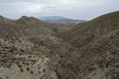Almerya 'daki Tabernas Çölü' nün kurak manzarası (İspanya), dağlık bir manzara, çalılar var ve gökyüzü bulutlu.