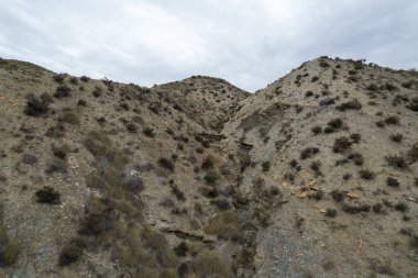 Almerya 'daki Tabernas Çölü' nün kurak manzarası (İspanya), dağlık bir manzara, çalılar var ve gökyüzü bulutlu.