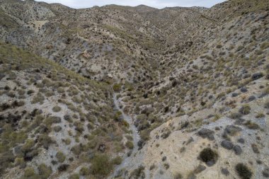 Almerya 'daki Tabernas Çölü' nün kurak manzarası (İspanya), dağlık bir manzara, çalılar var ve gökyüzü bulutlu.